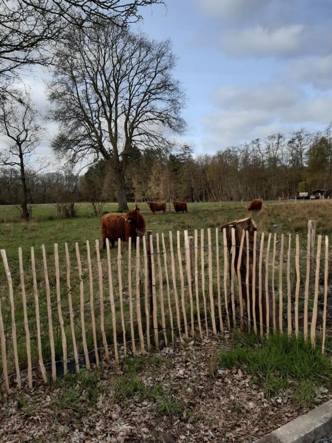 B & B Twijfelveld Assen Bagian luar foto