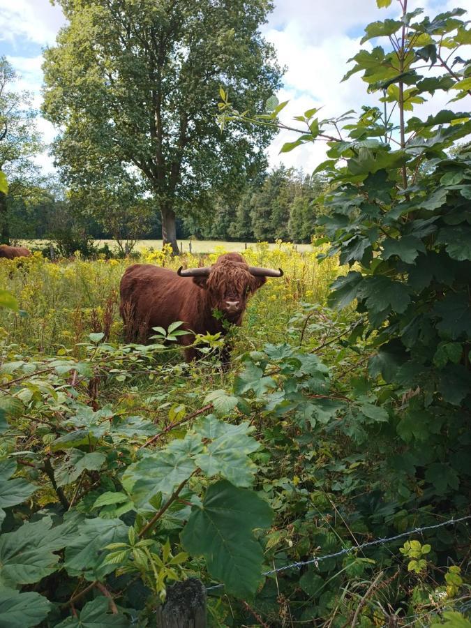 B & B Twijfelveld Assen Bagian luar foto